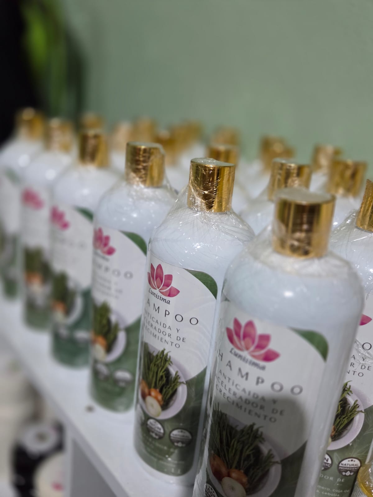 Shampoo Anticaída acelerador del crecimiento 1 LITRO